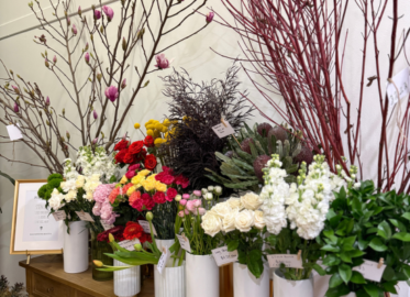 Hugobloom Adelaide Arcade